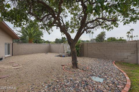 3136 E Ocotilla Ln, Phoenix, AZ 85028 photo 39