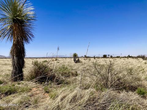tbd E Irene St #22, Pearce, AZ 85625