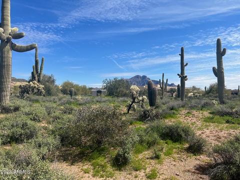 0 N Wolverine Pass Rd #-, Apache Junction, AZ 85119 photo 5