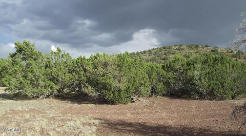 802 E Running Bear Rd #-, Williams, AZ 86046 photo 11
