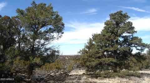 802 E Running Bear Rd #-, Williams, AZ 86046 photo 7
