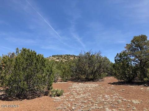 802 E Running Bear Rd #-, Williams, AZ 86046 photo 15