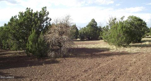 802 E Running Bear Rd #-, Williams, AZ 86046 photo 9