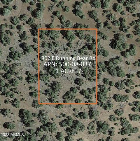 802 E Running Bear Rd #-, Williams, AZ 86046 photo 3