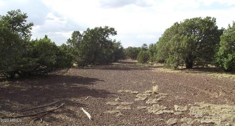 802 E Running Bear Rd #-, Williams, AZ 86046 photo 10
