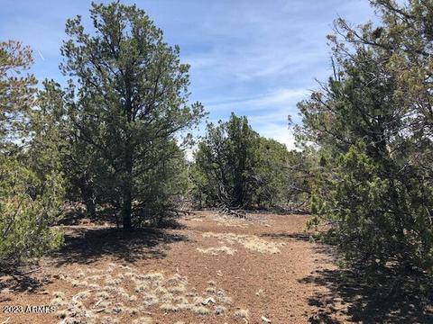 802 E Running Bear Rd #-, Williams, AZ 86046 photo 12