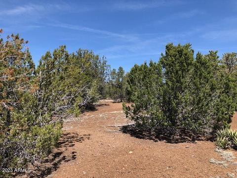 802 E Running Bear Rd #-, Williams, AZ 86046 photo 13