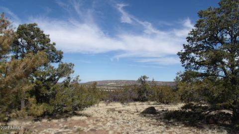 802 E Running Bear Rd #-, Williams, AZ 86046 photo 8