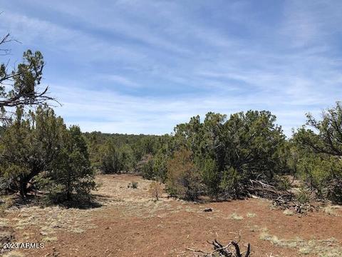 802 E Running Bear Rd #-, Williams, AZ 86046 photo 16