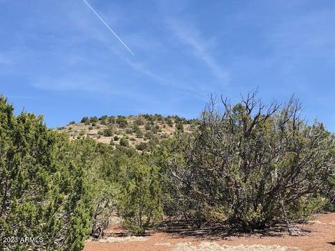 802 E Running Bear Rd #-, Williams, AZ 86046 photo 14