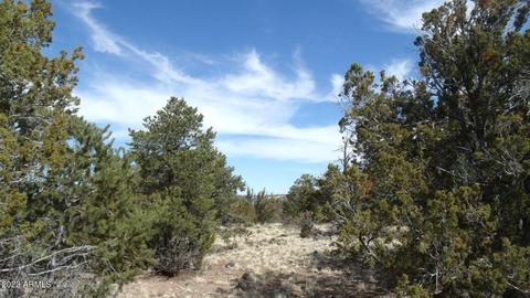 802 E Running Bear Rd #-, Williams, AZ 86046 photo 5