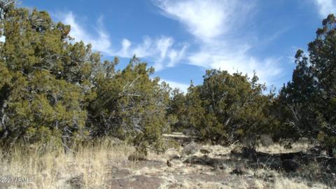 802 E Running Bear Rd #-, Williams, AZ 86046 photo 6