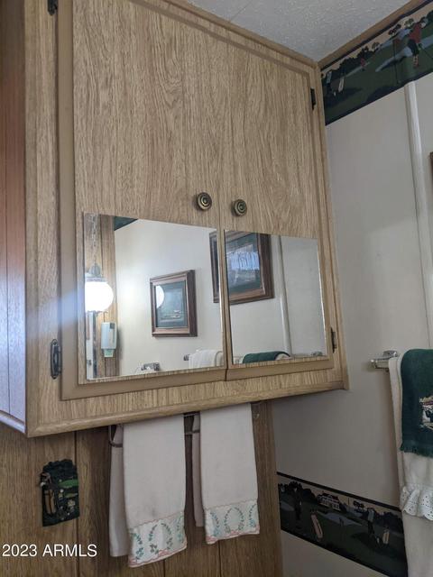 7300 N 51st Ave #E183, Glendale, AZ 85301 photo 15