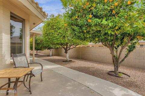 8255 E Navarro Ave, Mesa, AZ 85209 photo 12