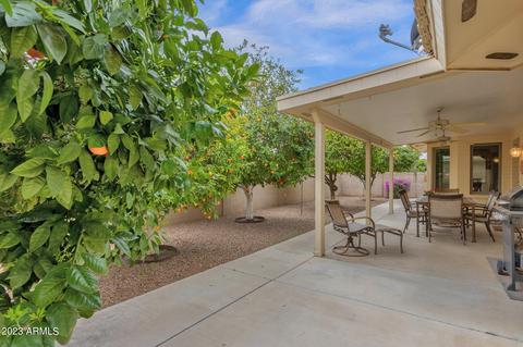 8255 E Navarro Ave, Mesa, AZ 85209 photo 21