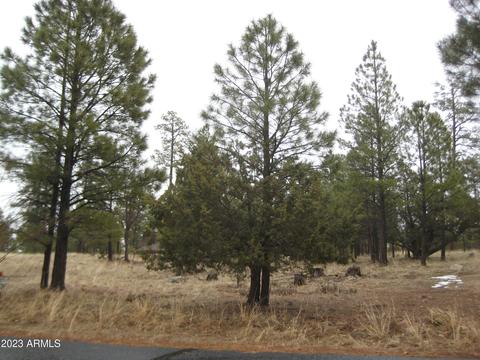 4282 Juniper Dr #103, Happy Jack, AZ 86024