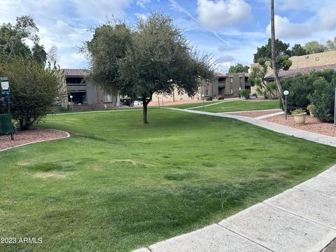 3825 E Camelback Rd #125, Phoenix, AZ 85018 photo 15