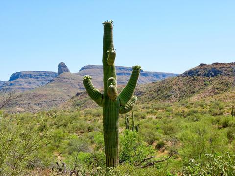 20875 E Squaw Valley Rd #MB, Black Canyon City, AZ 85324