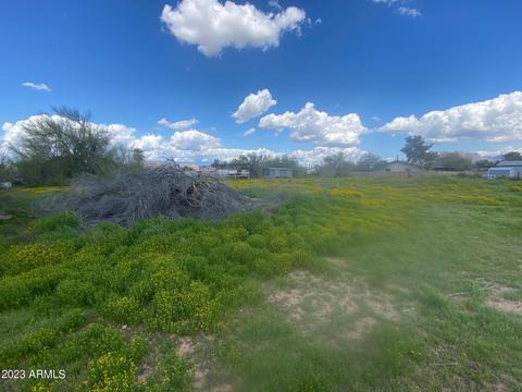 1549 S Meridian Rd #1, Apache Junction, AZ 85120 photo 6