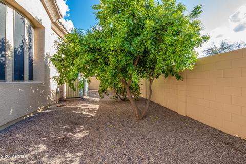 1872 E Gemini Pl, Chandler, AZ 85249 photo 110