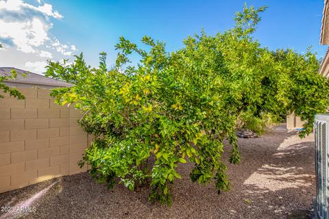 1872 E Gemini Pl, Chandler, AZ 85249 photo 108