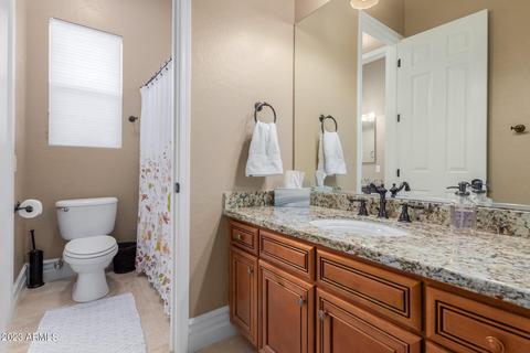 1872 E Gemini Pl, Chandler, AZ 85249 photo 60
