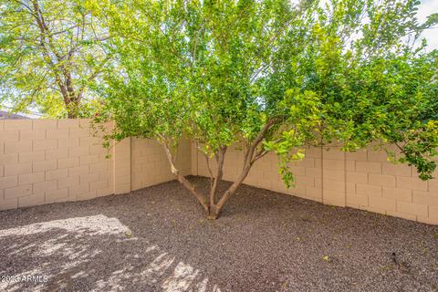 1872 E Gemini Pl, Chandler, AZ 85249 photo 109