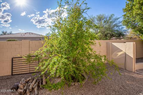 1872 E Gemini Pl, Chandler, AZ 85249 photo 111