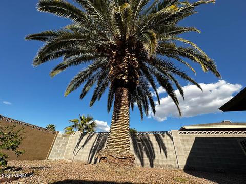 4652 E Carmel Ave, Mesa, AZ 85206 photo 51