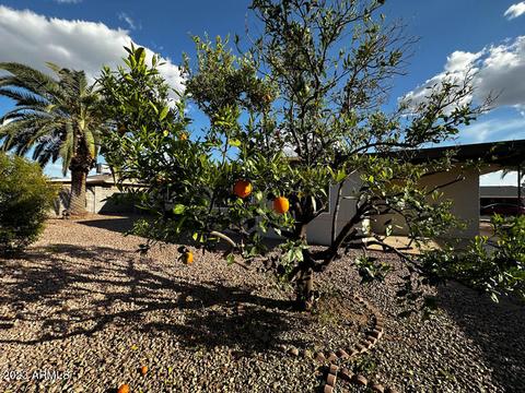 4652 E Carmel Ave, Mesa, AZ 85206 photo 54