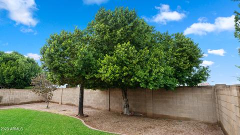1550 E Cheyenne St, Gilbert, AZ 85296 photo 21