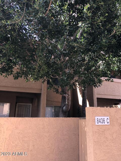 8436 N Central Ave #C, Phoenix, AZ 85020 photo 7