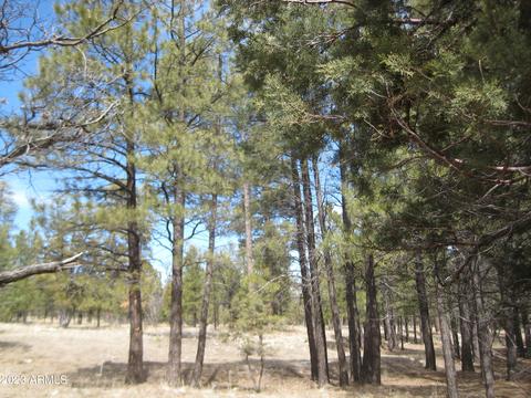 1632 Pine Canyon Dr #37, Happy Jack, AZ 86024
