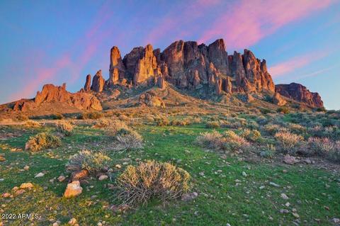 1981 S Cactus Rd, Apache Junction, AZ 85119 photo 7