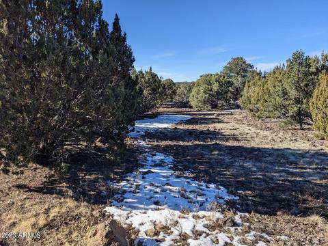 Cr 3026 N Lot 44 Trail, Vernon, AZ 85940