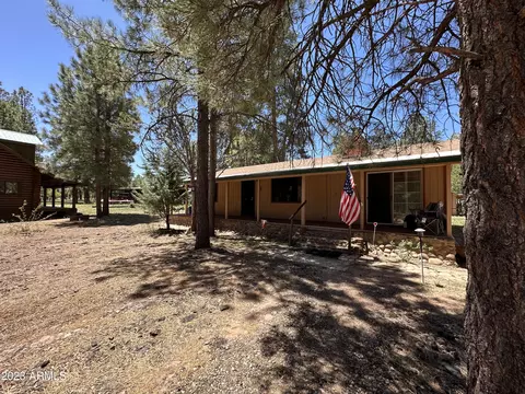 2838 Timber Trail Loop, Overgaard, AZ 85933 photo 3