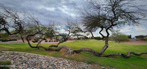 1140 E Dublin St, Gilbert, AZ 85295 photo 48