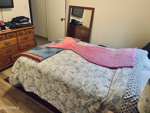3117 E Charleston Ave, Phoenix, AZ 85032 photo 20