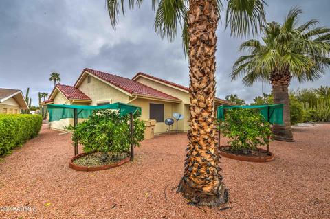 8115 E Desert Trl, Mesa, AZ 85208 photo 52