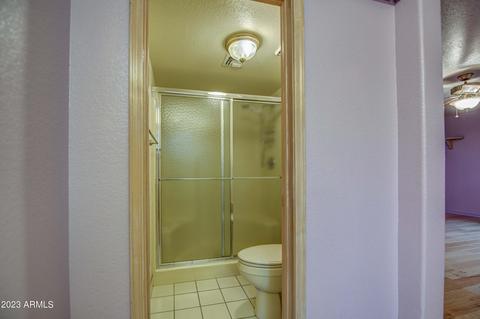 8115 E Desert Trl, Mesa, AZ 85208 photo 42