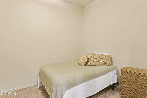 8756 E Inca Cir, Mesa, AZ 85207 photo 25