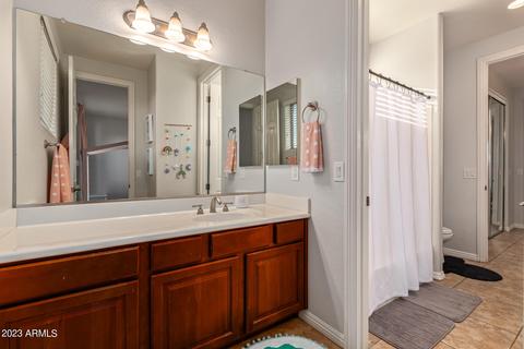 463 E Phelps St, Gilbert, AZ 85295 photo 43