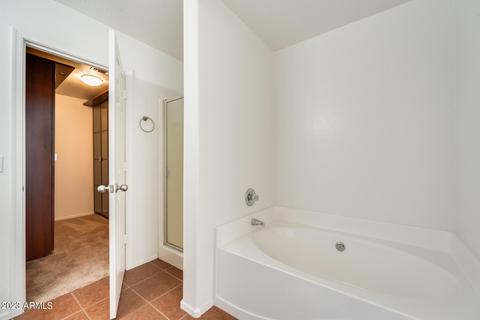 8511 E Lindner Ave, Mesa, AZ 85209 photo 29