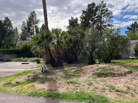 1050 E Medlock Dr, Phoenix, AZ 85014 photo 4