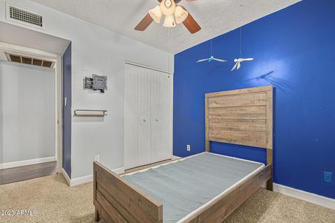 917 S Toltec --, Mesa, AZ 85204 photo 20