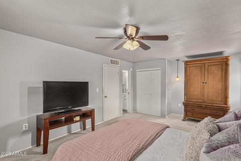917 S Toltec --, Mesa, AZ 85204 photo 16