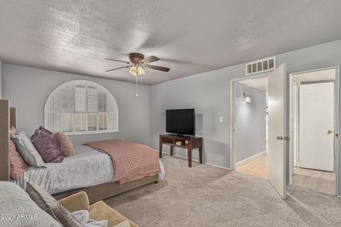 917 S Toltec --, Mesa, AZ 85204 photo 13