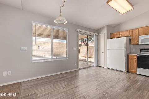 11244 E Downing St, Mesa, AZ 85207 photo 10