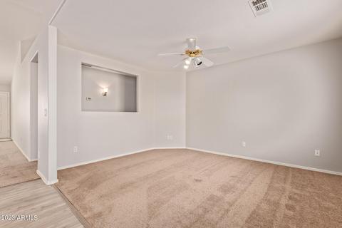 11244 E Downing St, Mesa, AZ 85207 photo 12