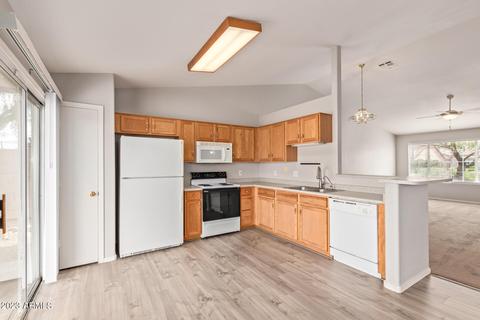 11244 E Downing St, Mesa, AZ 85207 photo 15